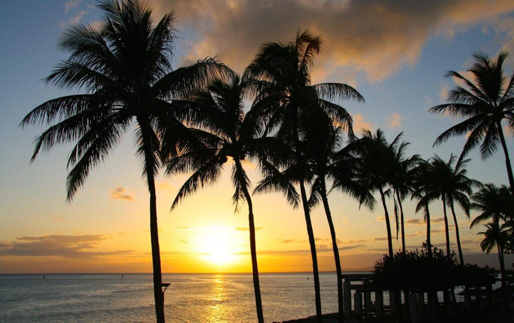 best places to visit in honolulu hawaii